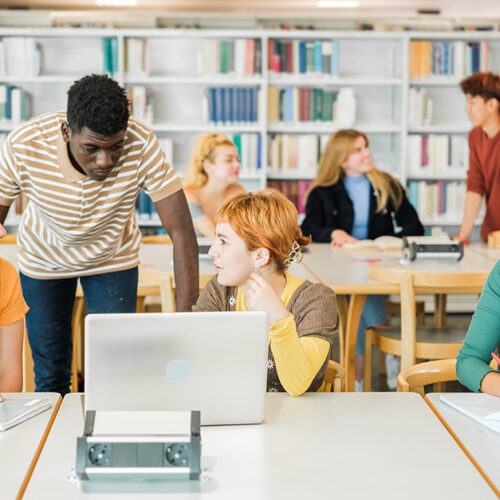 Bidding Opportunities in the Education Market